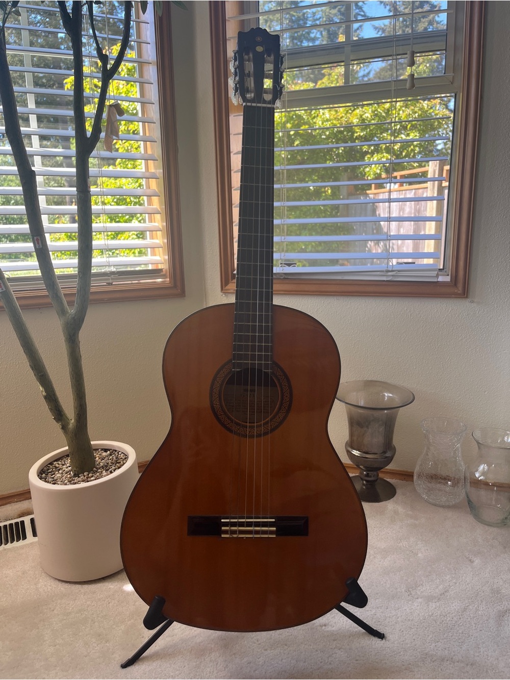 Yamaha Classical Guitar in Brown and Black